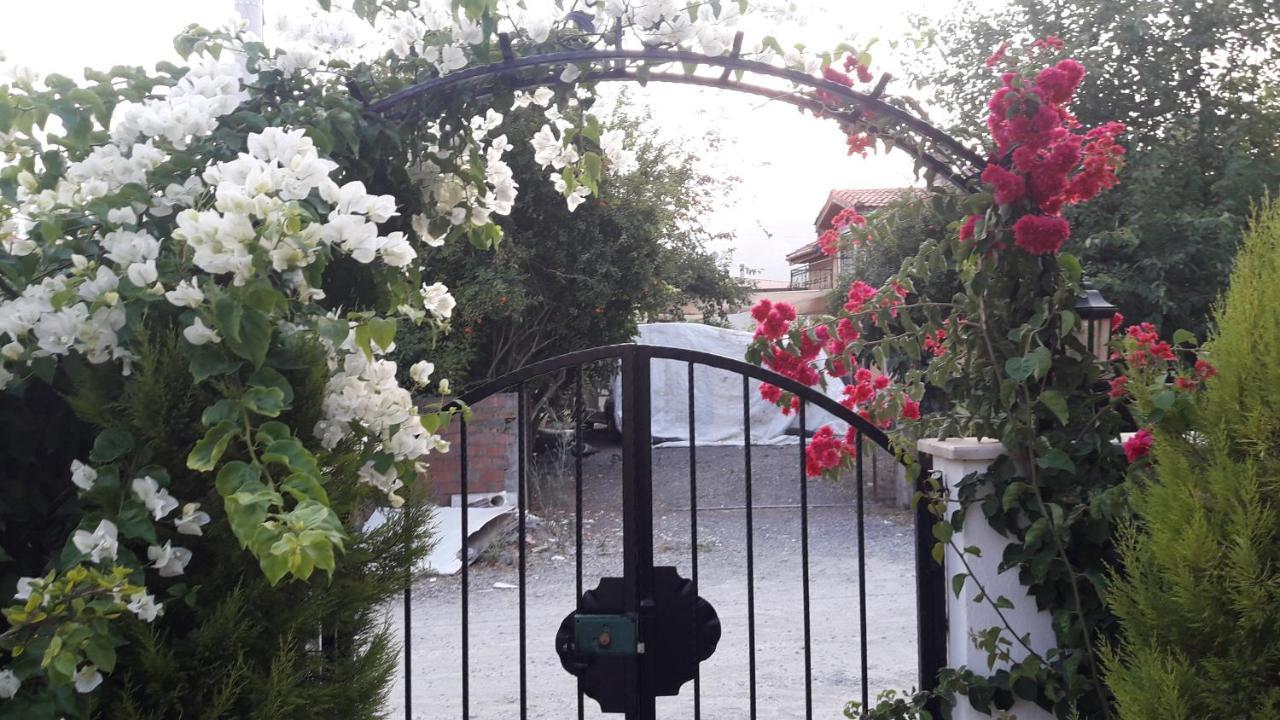 Villa Ebrar Dalyan Muğla Luaran gambar