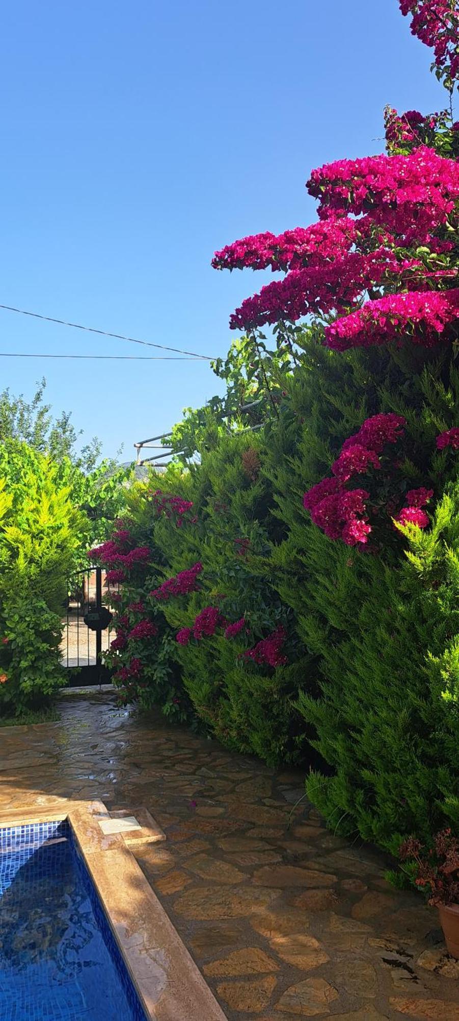 Villa Ebrar Dalyan Muğla Luaran gambar